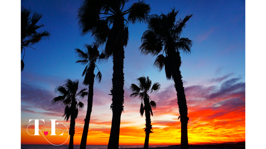 Beautiful Sunset Walks